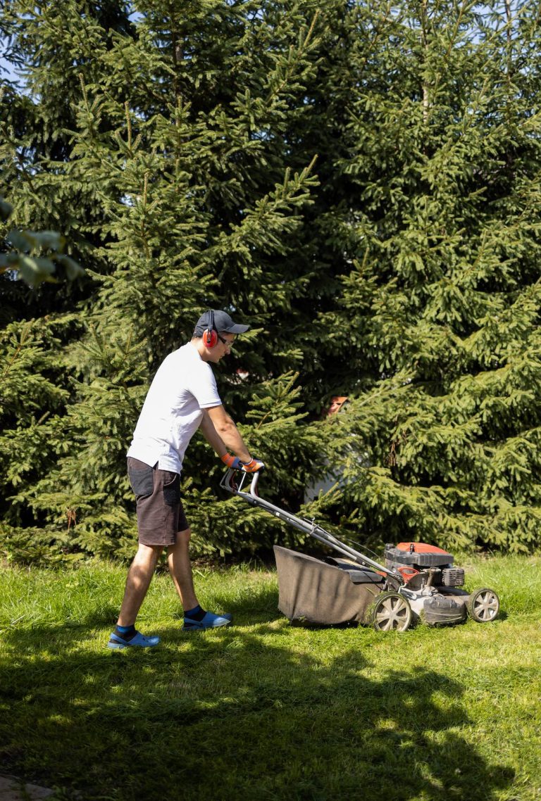 Lawn Mowing Regina - ProperTree